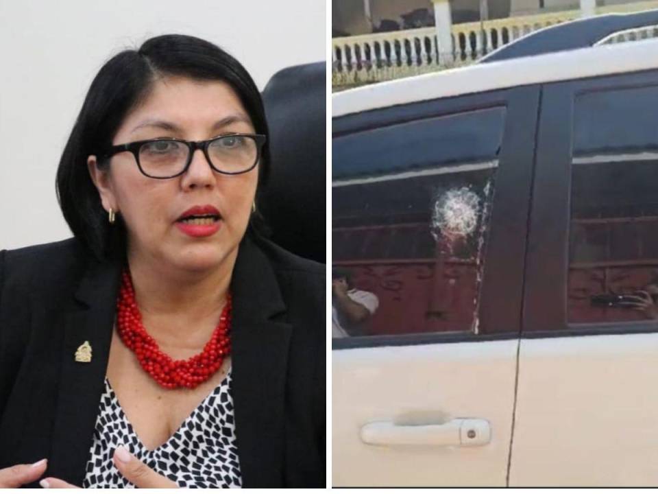 Frente a la vivienda de la diputada hubo un enfrentamiento entre el equipo de seguridad de Ayala y una pareja de malhechores.