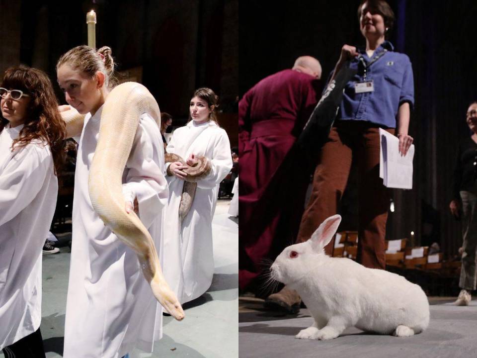 Las mascotas, la mayoría perros, aguantaron estoicamente el servicio religioso que contó con actuaciones del coro de la catedral.