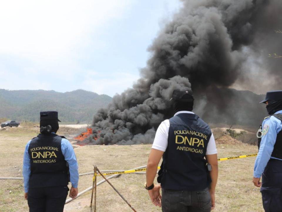 La droga incautada el pasado 24 de marzo fue incinerada esta tarde por elementos de la DNPA y la ATIC.