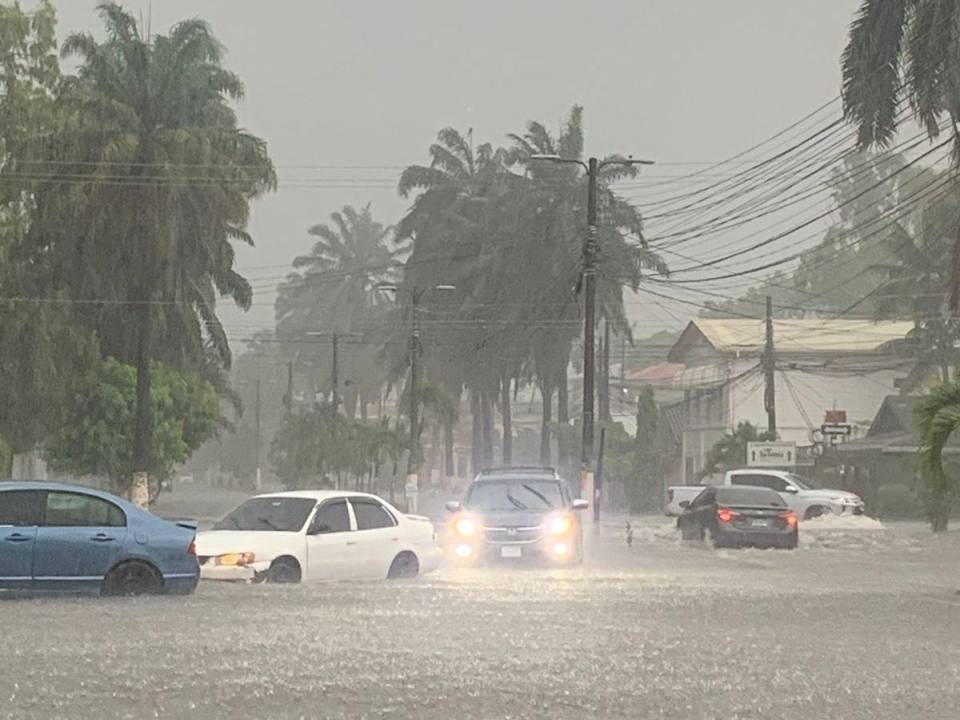 Expertos pronosticaron que estas condiciones climáticas persistirán este jueves y el viernes -29 de marzo.