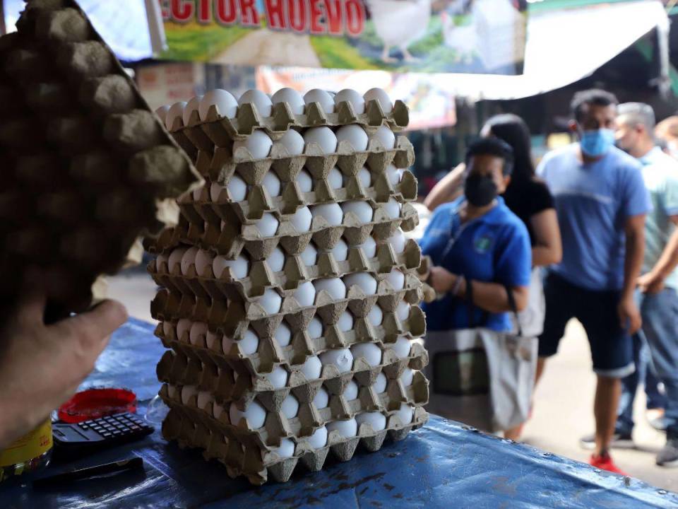 En los mercados capitalinos el producto avícola se mantiene en 145 y 140 lempiras por cartón, mientras que en SPS puede bajar a 130.