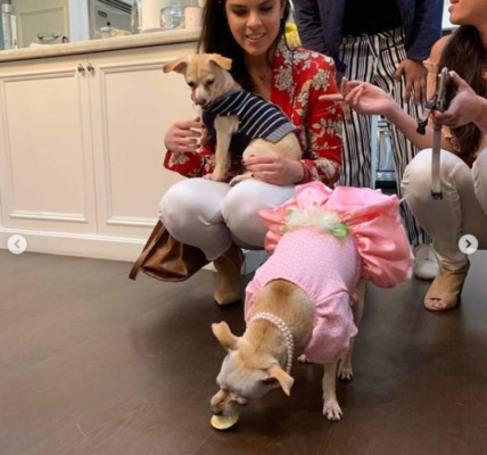 FOTOS: Sofía Vergara celebra extravagante fiesta de cumpleaños a su perrita