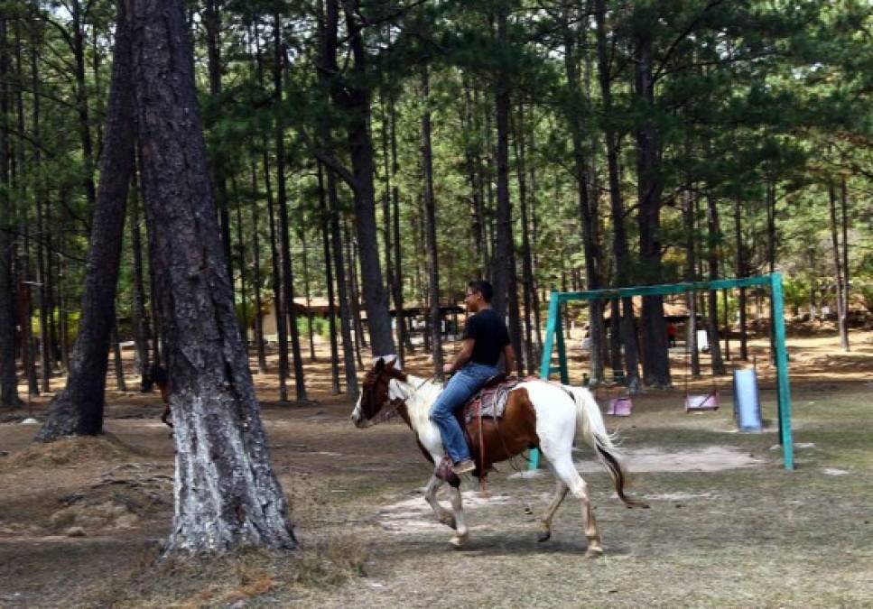 Parques donde podés disfrutar con tu familia en la Semana Morazánica