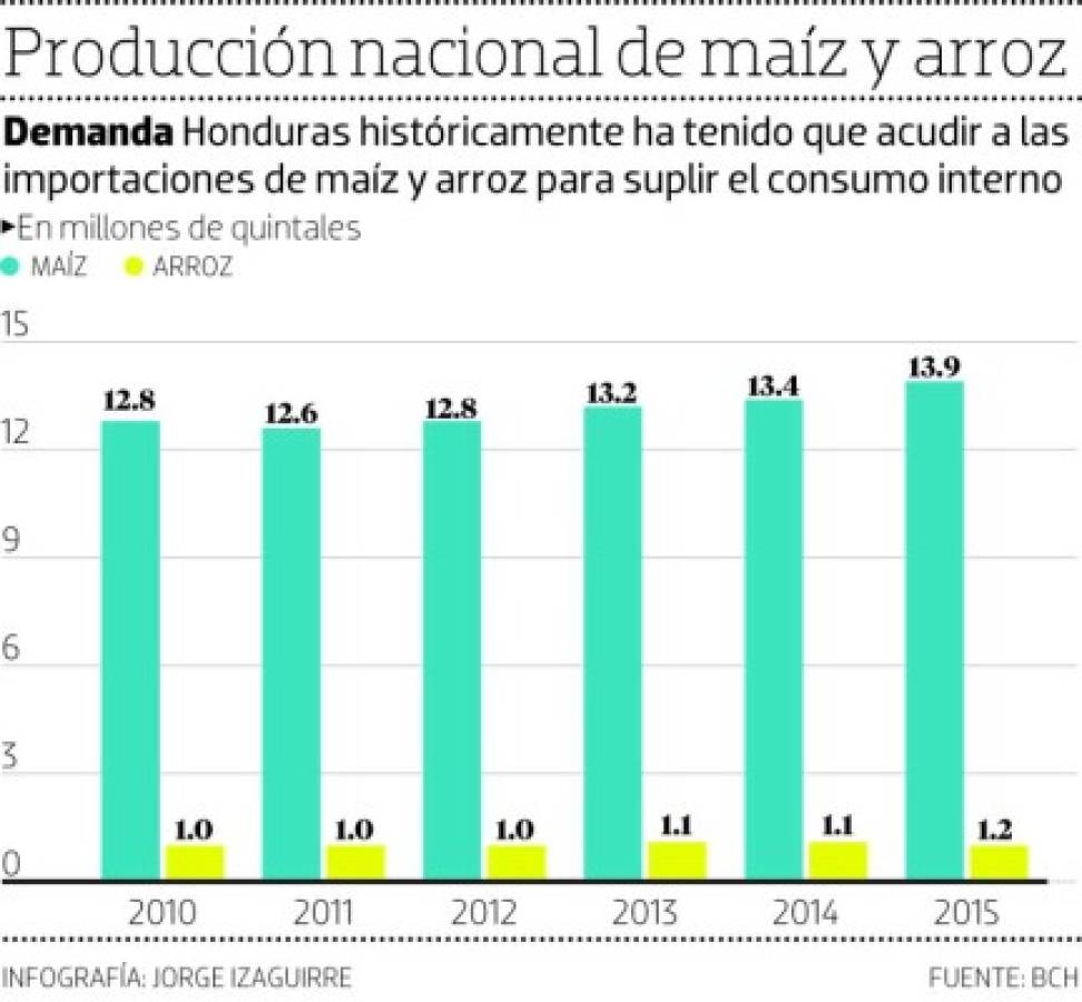 Unos 5.2 millones de quintales de maíz y arroz se importarán