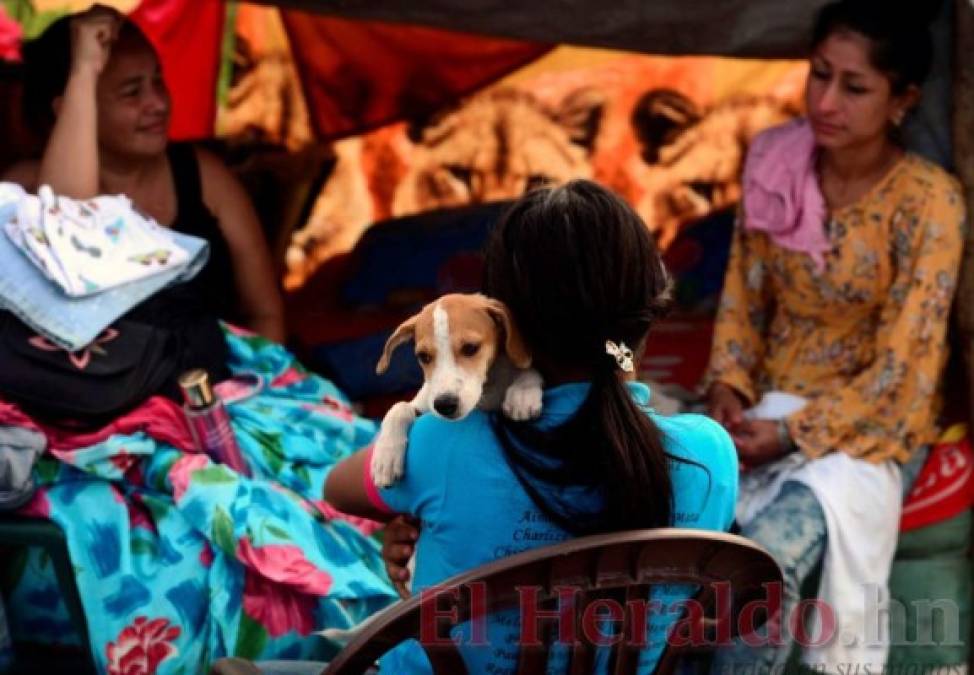 ¡Imágenes que duelen! Las duras secuelas de Eta a su paso por Honduras