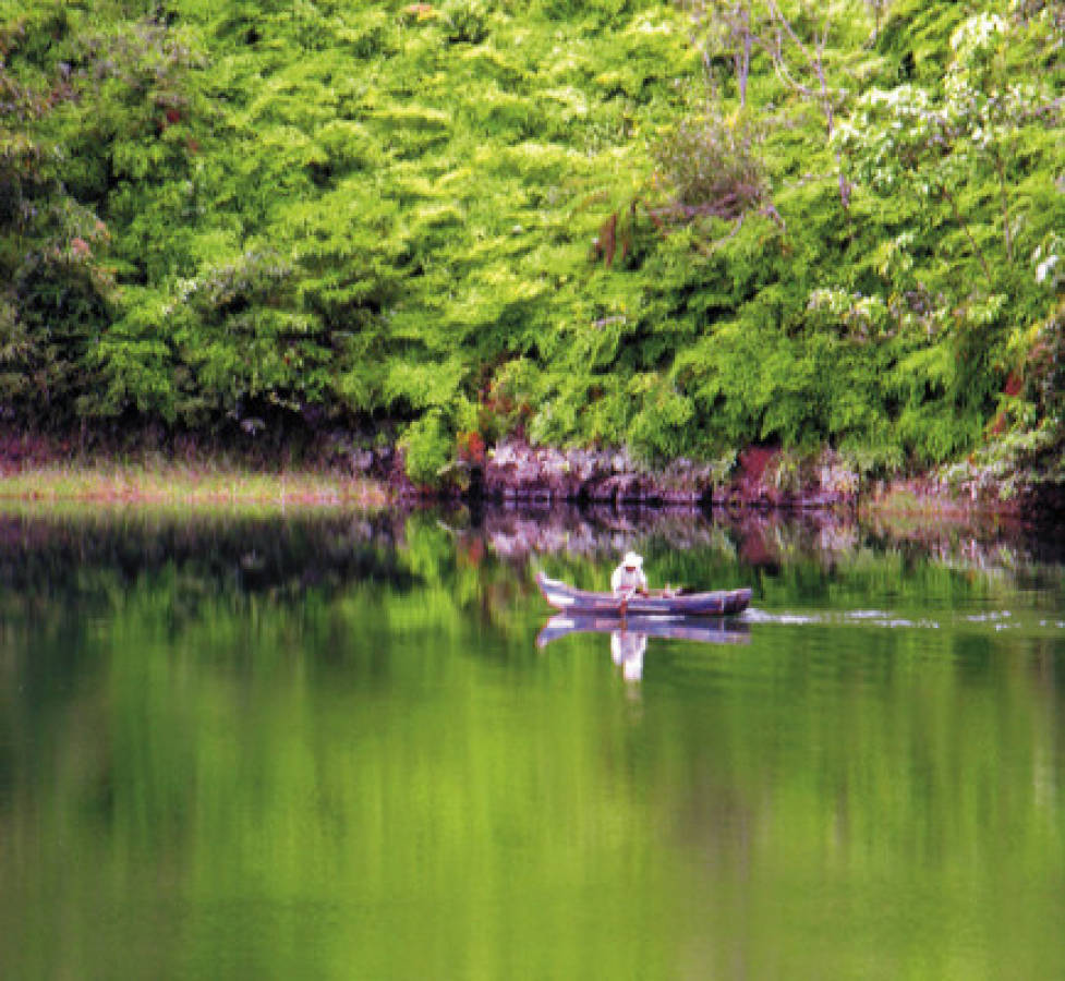 Panacam, el paraíso para los amantes de las aves