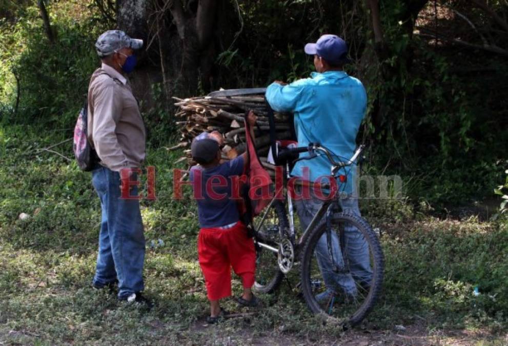 Venden leña, cuidan a sus hermanos o ayudan en casa: los niños que dejaron las escuelas por el covid