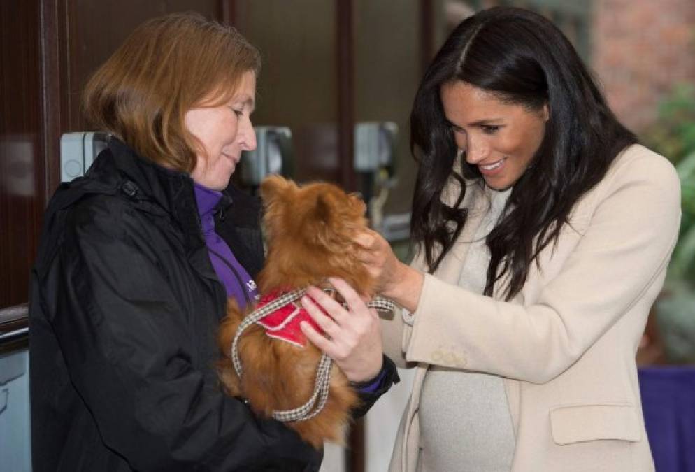 Meghan Markle se encariña de un perro en su visita a un refugio de animales