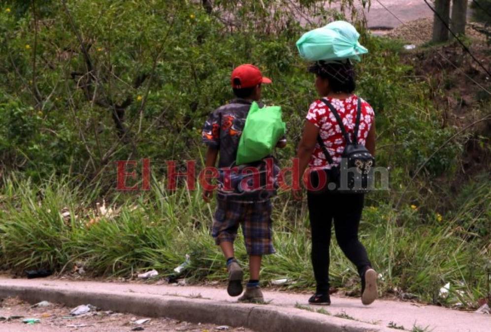 Venden leña, cuidan a sus hermanos o ayudan en casa: los niños que dejaron las escuelas por el covid