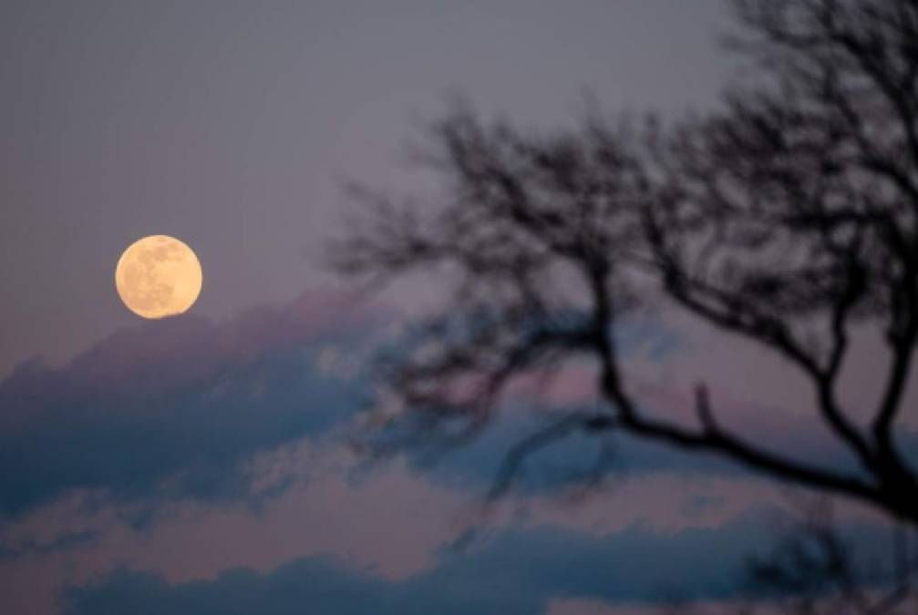 FOTOS: Así se observa la Luna de Nieve en Honduras y el mundo