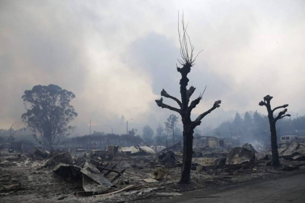 Fotos: Las impactantes imágenes que dejó en incendio en zona vinícola de California, EEUU