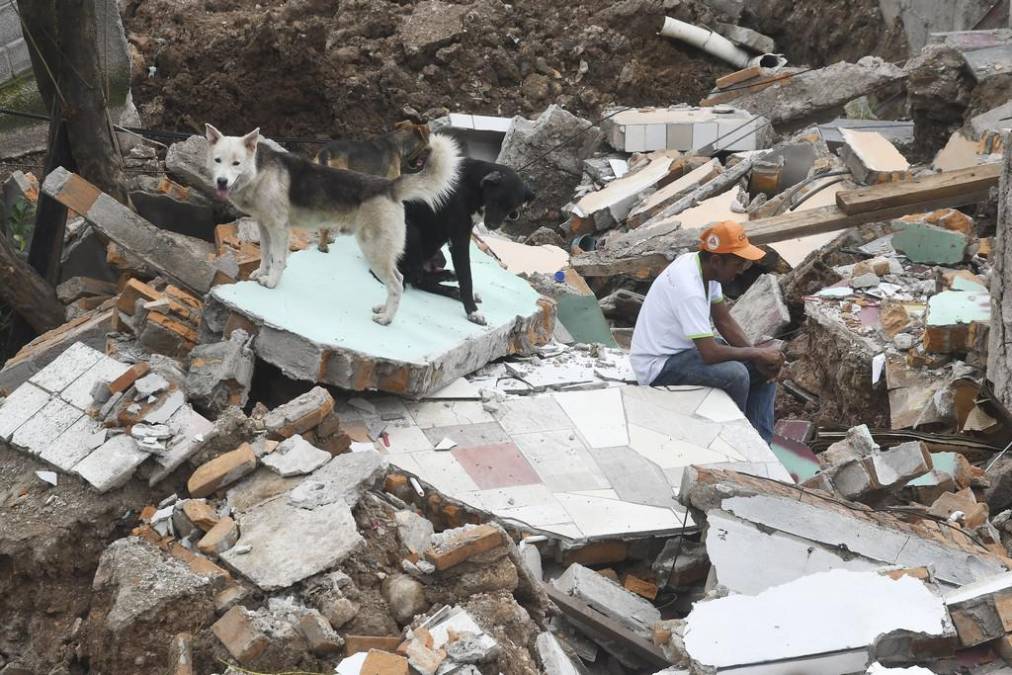 Más de 2 mil personas han sido rescatadas de la colonia Guillén por falla geológica