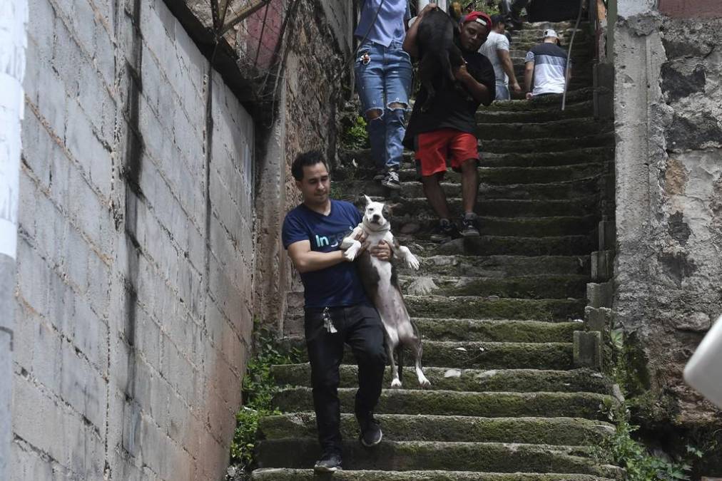 Falla en la Guillén: Impotencia y desesperación entre vecinos obligados a salir de sus hogares