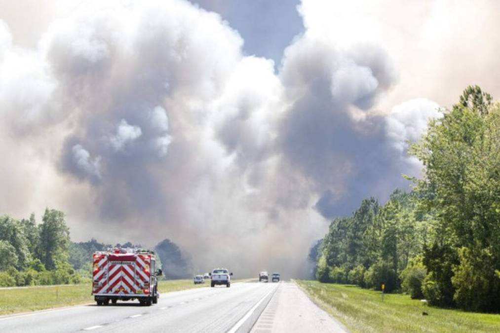 Impactantes imágenes de los devastadores incendios forestales en Florida