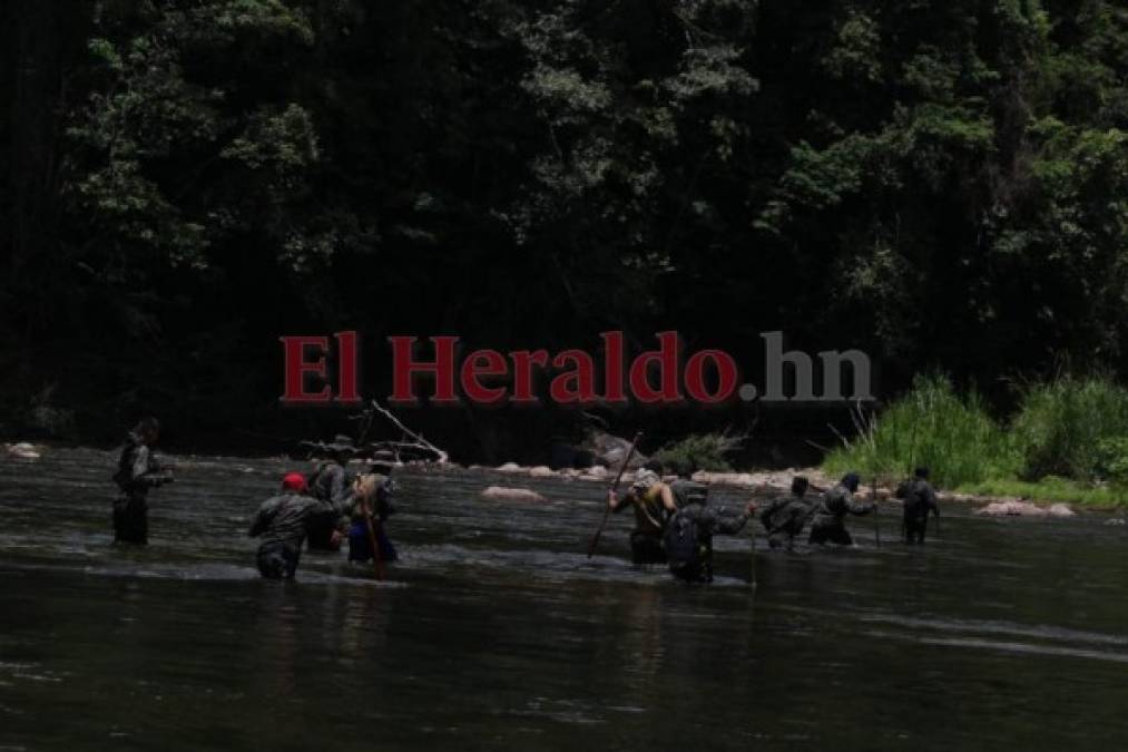 Acciones emprendidas para frenar construcción de carretera en pleno corazón de Biósfera del Río Plátano (FOTOS)