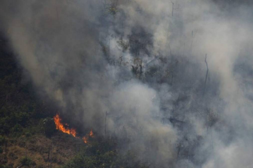 Las impactantes fotos de los desastres que deja el incendio en Amazonia