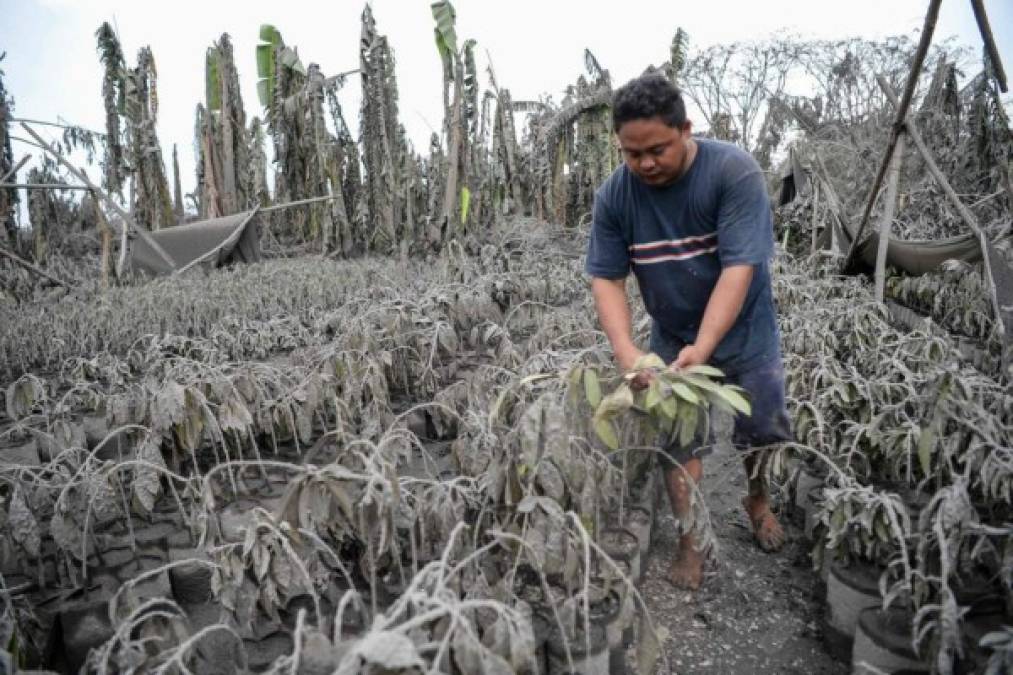 La imponente y terrorífica columna de cenizas del volcán en Filipinas