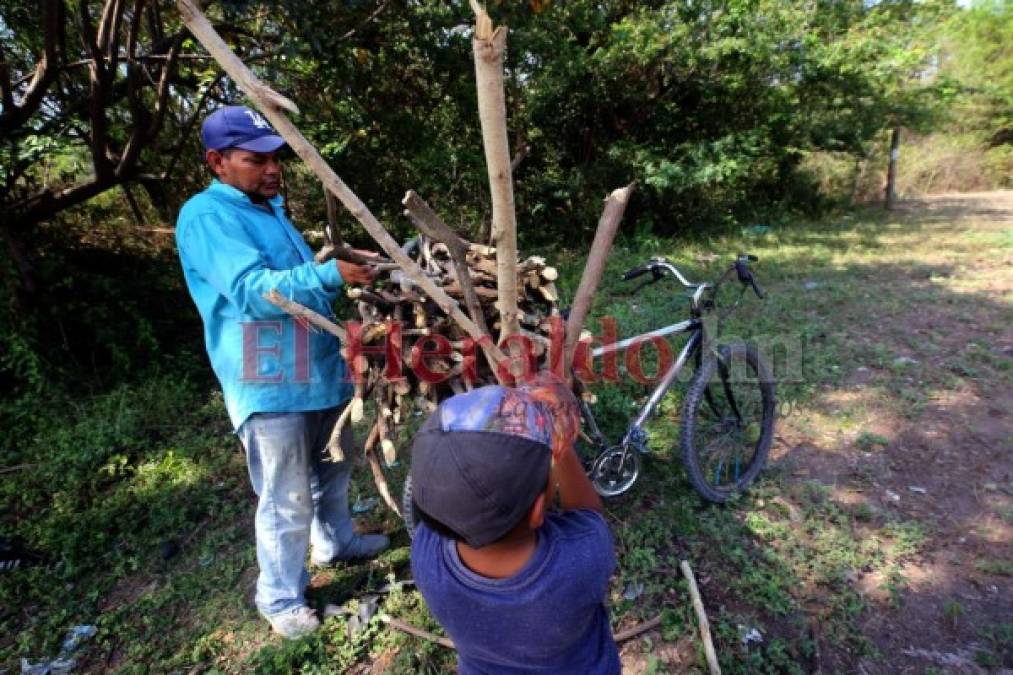 Venden leña, cuidan a sus hermanos o ayudan en casa: los niños que dejaron las escuelas por el covid