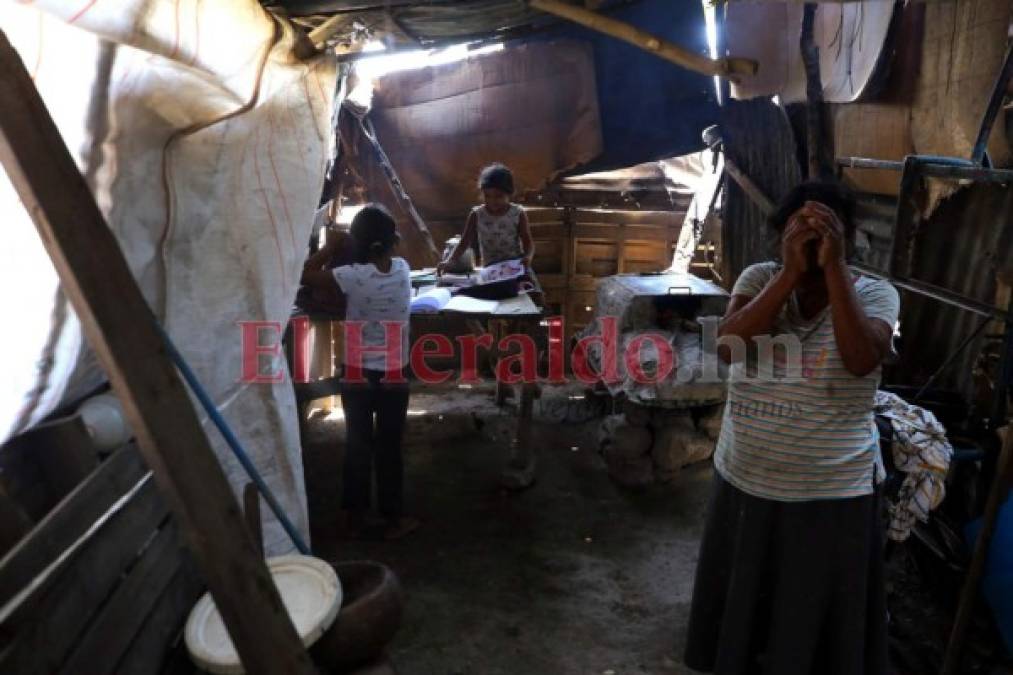 Venden leña, cuidan a sus hermanos o ayudan en casa: los niños que dejaron las escuelas por el covid