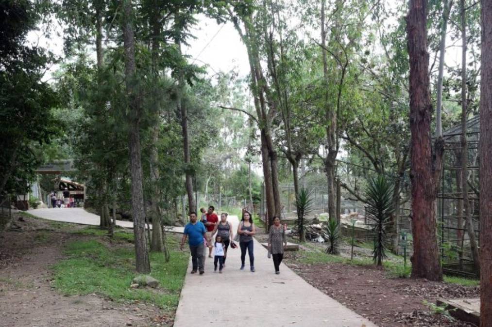 Parques donde podés disfrutar con tu familia en la Semana Morazánica