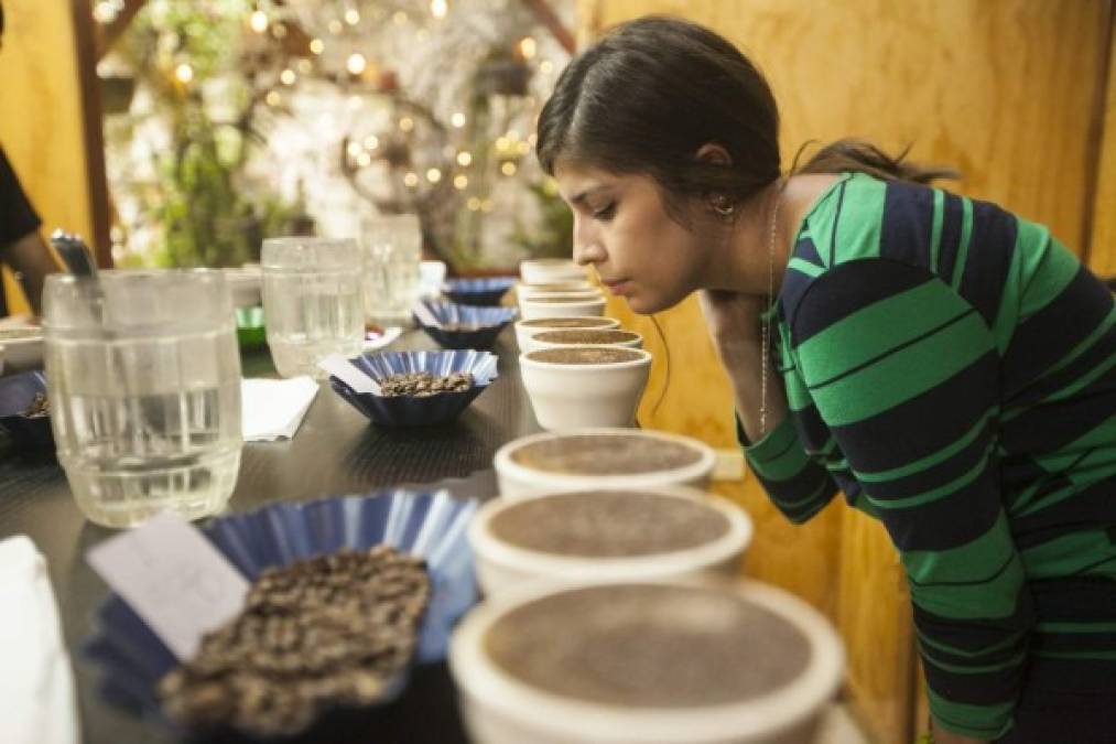 Conozca la hermosa tierra con olor a café