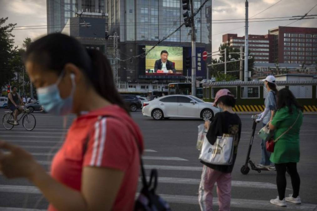 Lo que se sabe de la nueva gripe porcina que podría transmitirse a humanos  