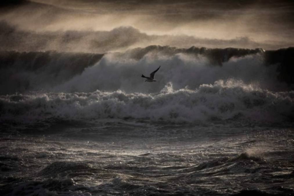 Potente tormenta Gloria en España ya deja 11 muertos y 5 desaparecidos