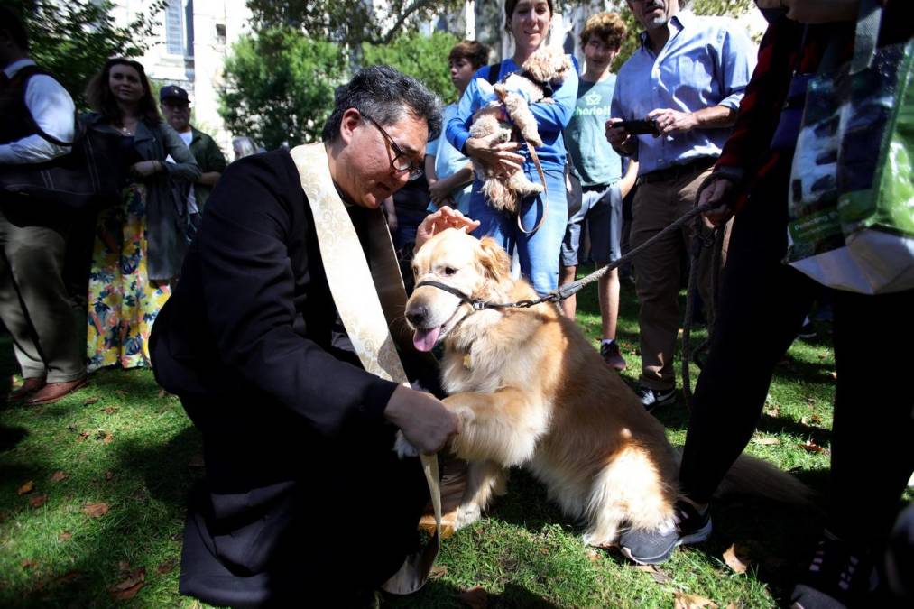 Inusual y llena de alegría: así fue la bendición de mascotas en Nueva York
