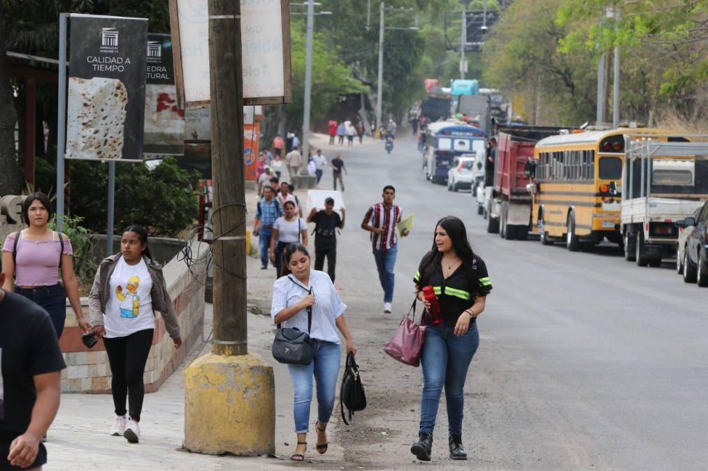 Con mascotas al hombro y largas caminatas: fotos del caos en la salida al sur por protesta del Ministerio Público