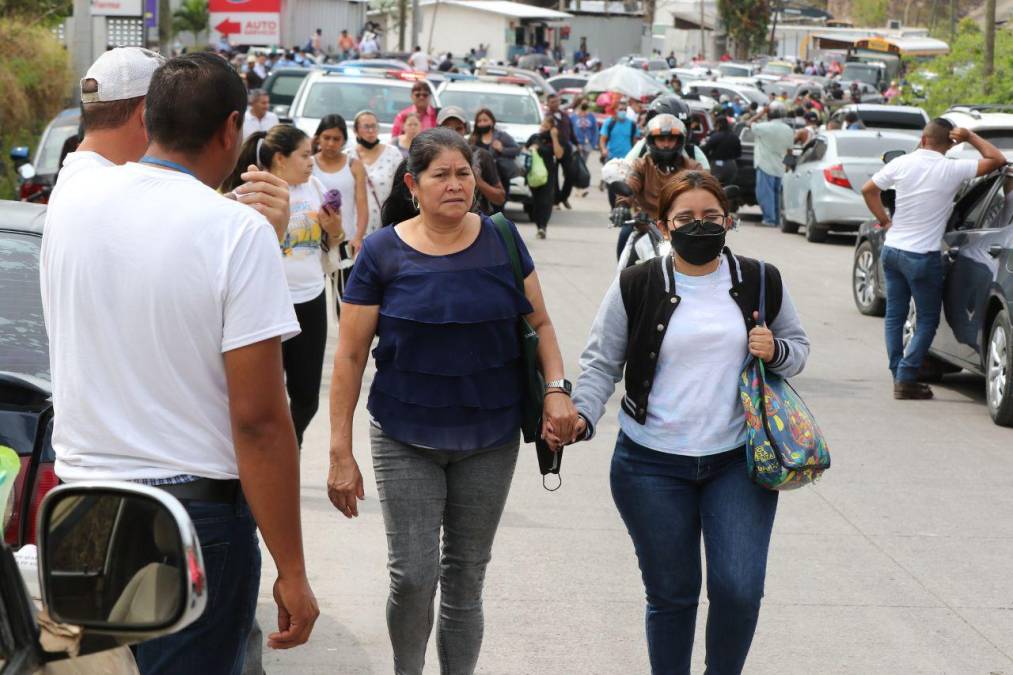 Con mascotas al hombro y largas caminatas: fotos del caos en la salida al sur por protesta del Ministerio Público