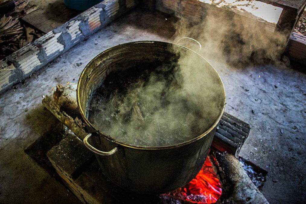 La ayahuasca, un té medicinal y alucinógeno que provoca un viaje “infernal”