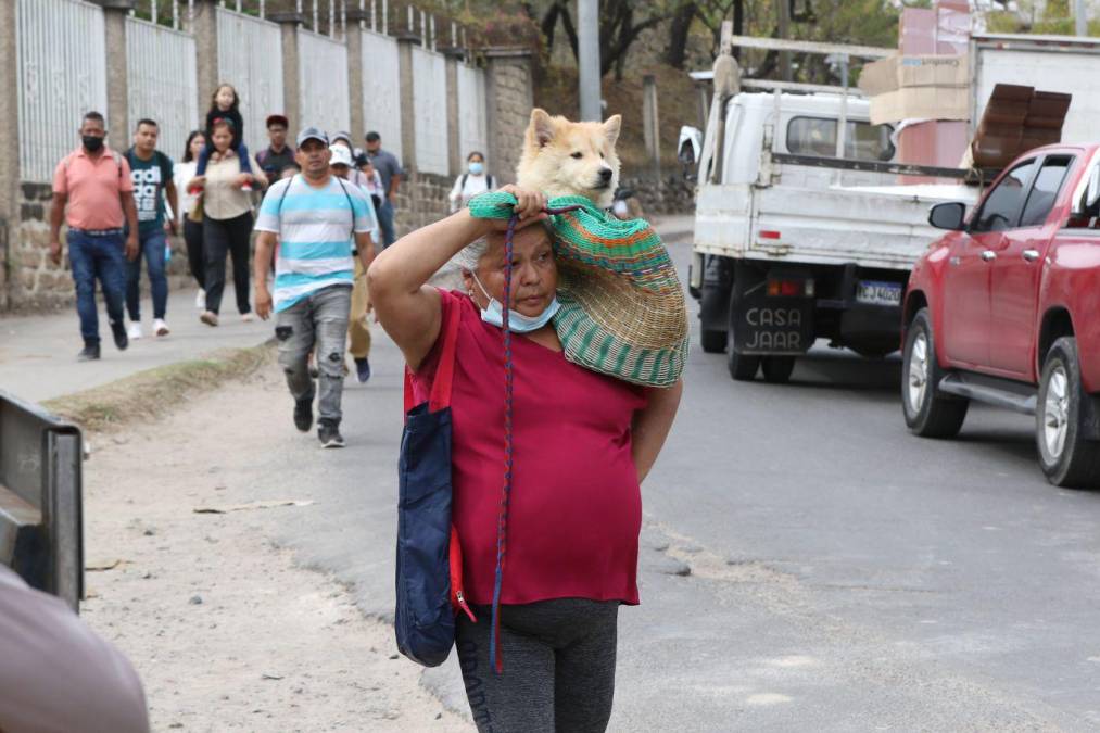 Con mascotas al hombro y largas caminatas: fotos del caos en la salida al sur por protesta del Ministerio Público