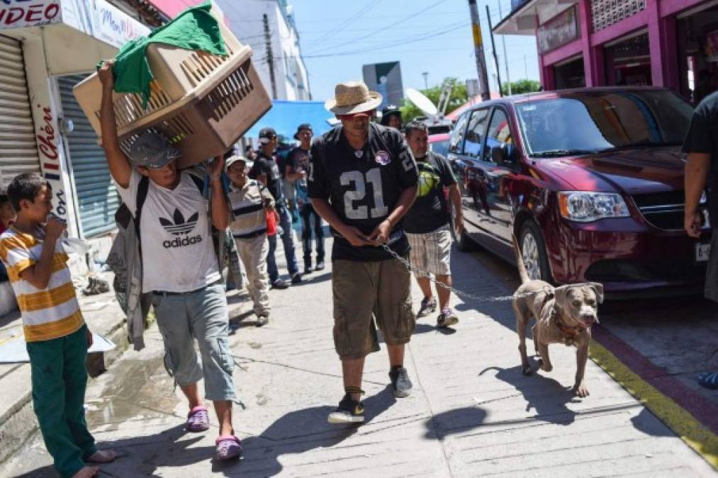 México: Así viven los hondureños de la caravana migrante a la espera de retomar el camino hacia Estados Unidos