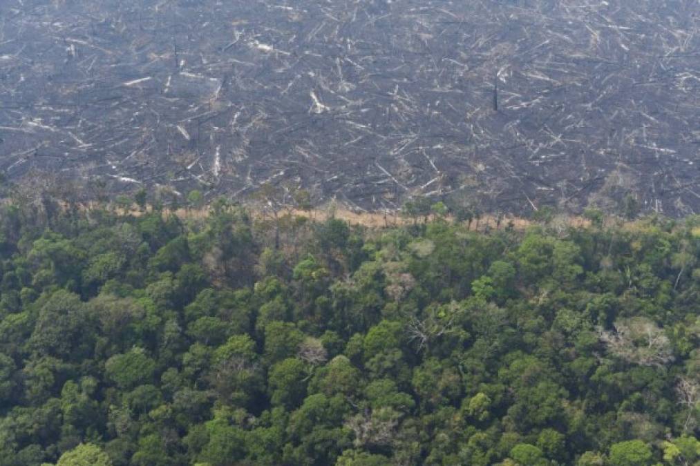 Las impactantes fotos de los desastres que deja el incendio en Amazonia