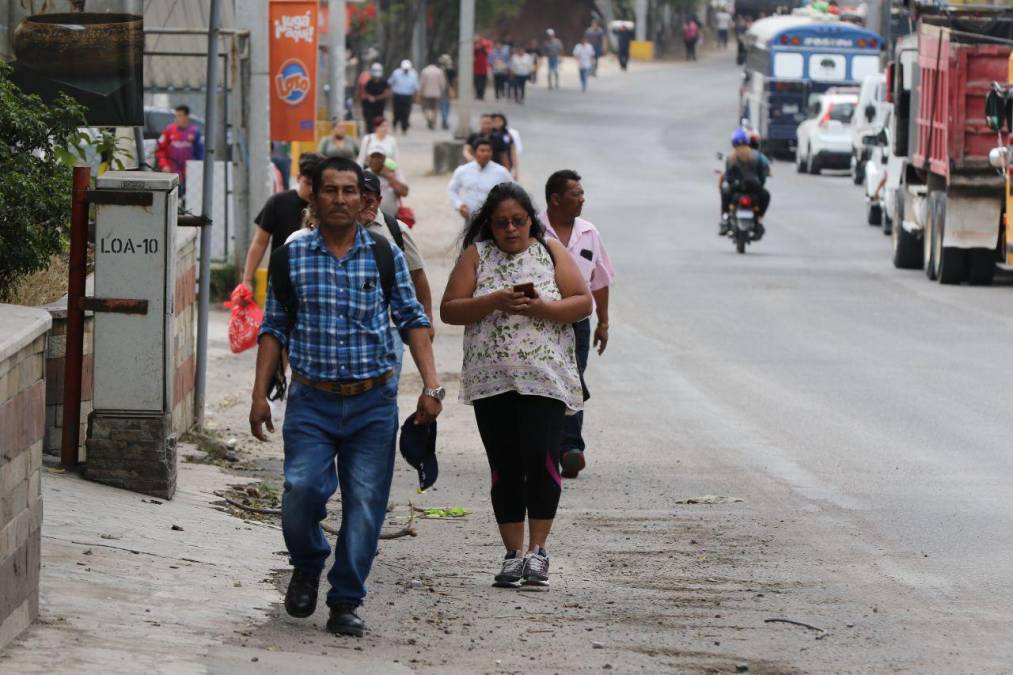 Con mascotas al hombro y largas caminatas: fotos del caos en la salida al sur por protesta del Ministerio Público