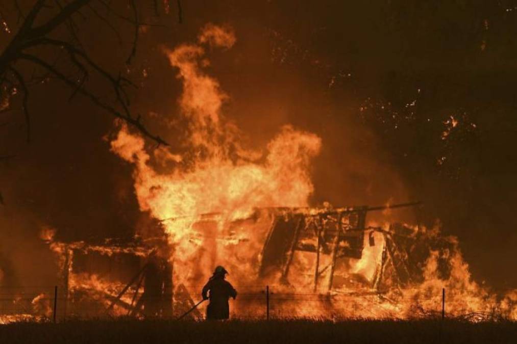 Enfermedades, incendios y muerte de personalidades: el catastrófico 2020 en imágenes