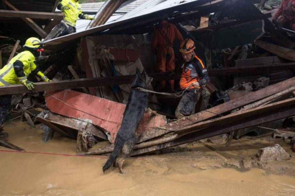 Guatemala: entre la devastación de Eta y la esperanza en la ayuda internacional (FOTOS)