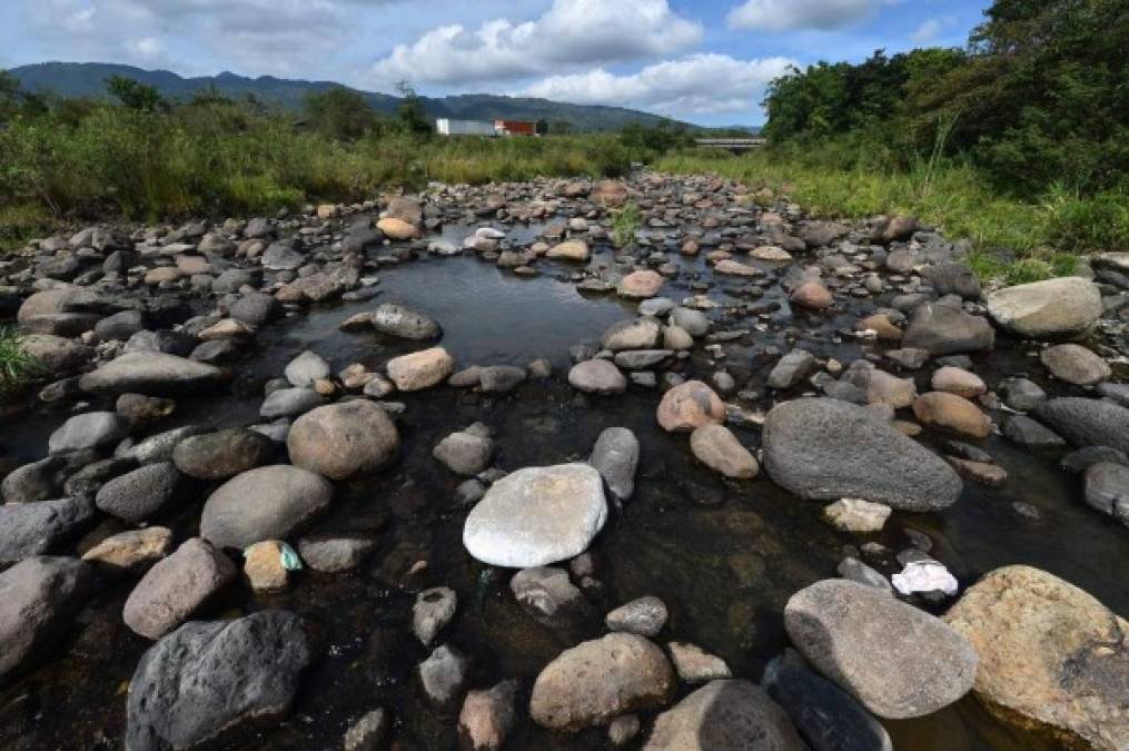 Las fotos más impactantes de la prolongada sequía en Honduras