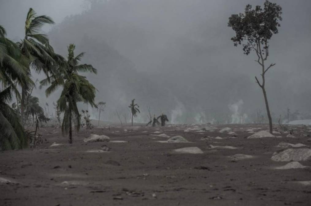 Las imágenes más angustiantes de la erupción volcánica en Indonesia