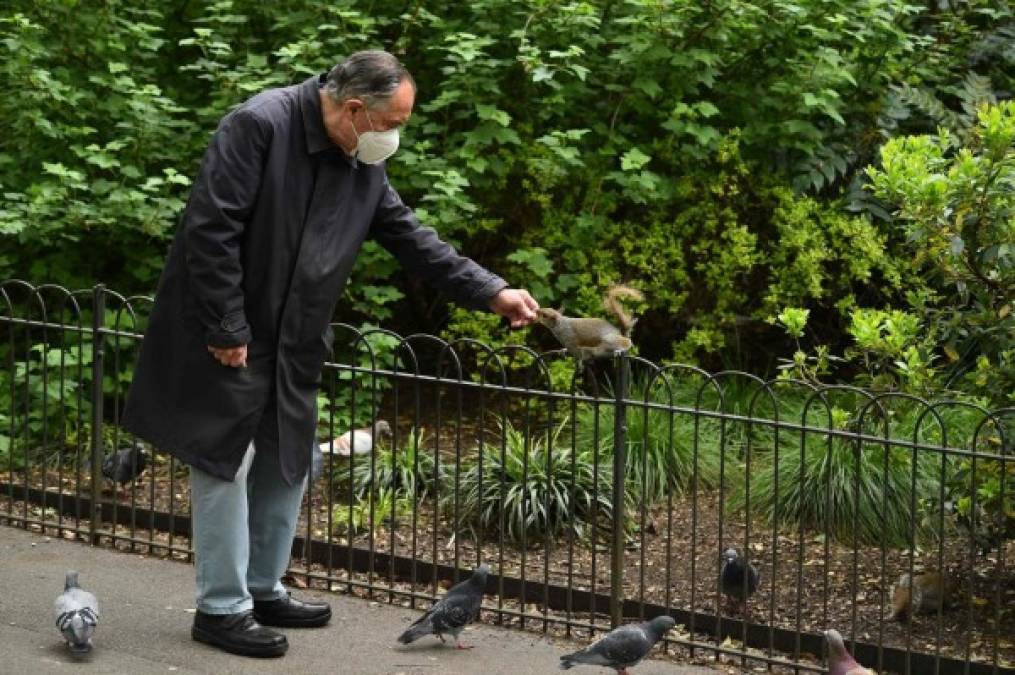 FOTOS: Europeos rozan la libertad gracias al desconfinamiento inteligente