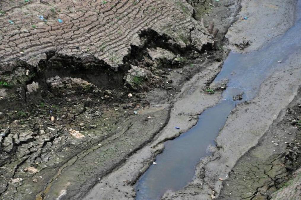 Honduras: Las tristes imágenes de la represa Los Laureles que luce casi desierta