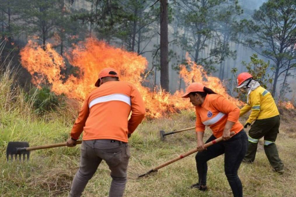 El infierno en la tierra: Los incendios forestales azotan Honduras (Fotos)