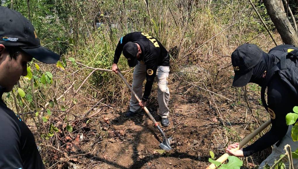 Las imágenes del cementerio clandestino encontrado en Lomas del Carmen, SPS