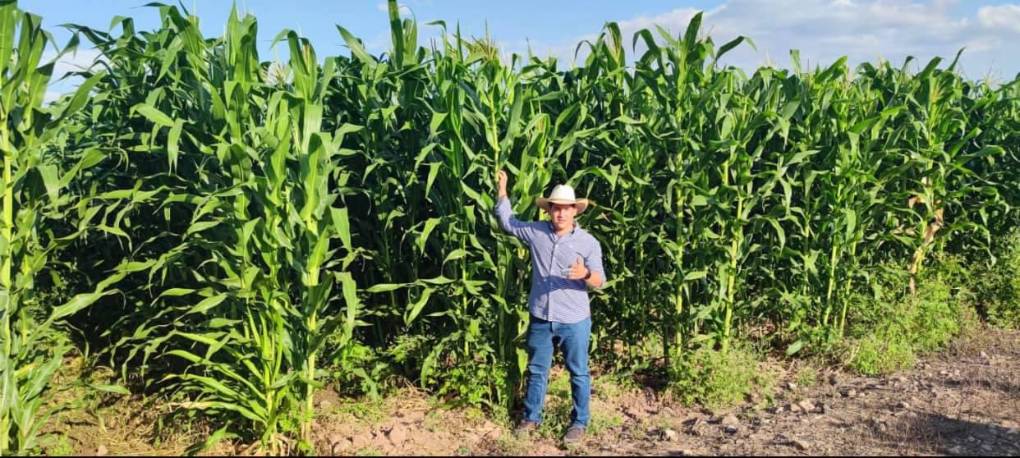 Luis René Suazo, el precandidato a alcalde de Comayagua de Tito Asfura