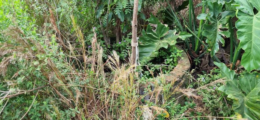 Maniatada y con una blusa en la cabeza, así fue hallada Claudia Benítez