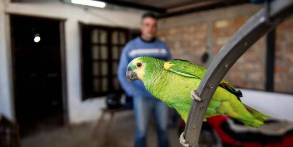 Su sobrino la mató para robarle las joyas y 10 años después su loro le hizo justicia