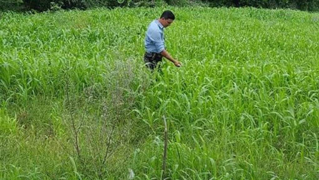 Amante del campo y el fútbol: así era Óscar Mendoza, el ganadero asesinado en Choluteca