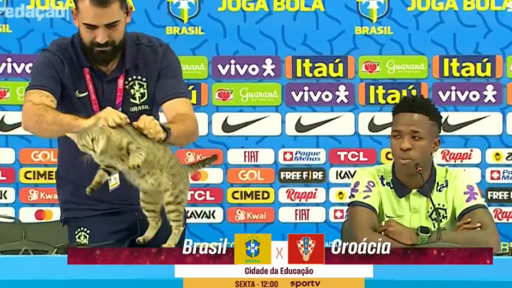 La “Maldición del Gato” que sufre Brasil: ¿De qué se trata y cuáles son las consecuencias?