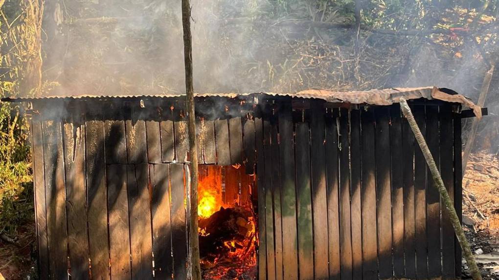 Hojas secas, molidas y plantas de coca: incineran narcolaboratorio en Limones, Catacamas