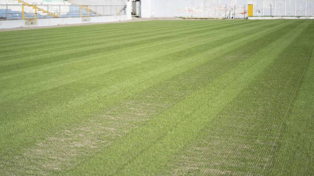 ¡Una lindura! Así quedó la grama híbrida en el estadio Morazán